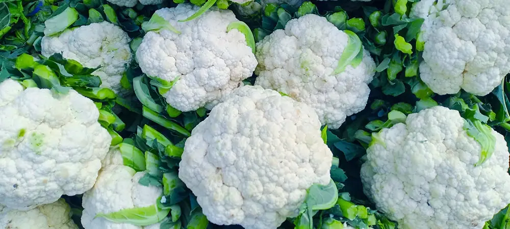 karnabaharin faydalari 23 63245 WebImage b